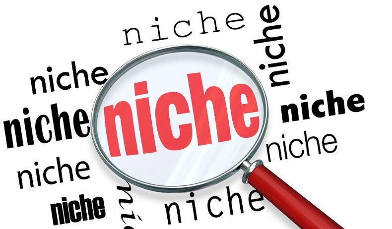 Cara Menentukan Niche Terbaik Untuk Blog Anda