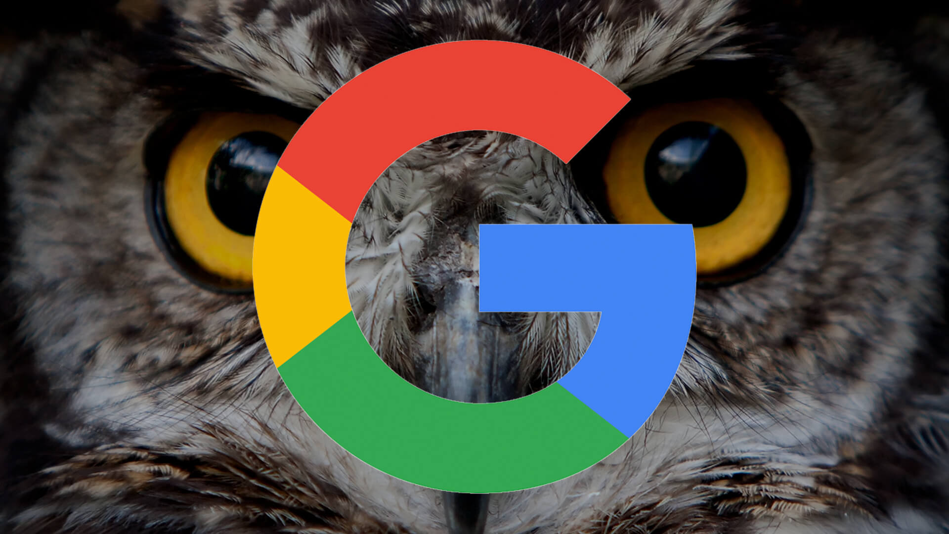 Project Terbaru Google - Project Google Owl